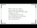 Freedy Johnston - While I Wait for You Lyrics