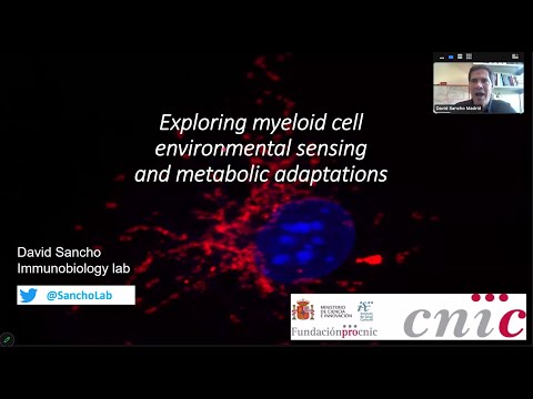 "Exploring Myeloid Cell Environmental Sensing and Metabolic Adaptations" by Dr. David Sancho