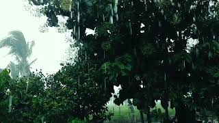 Som de chuva para Dormir #somdechuva