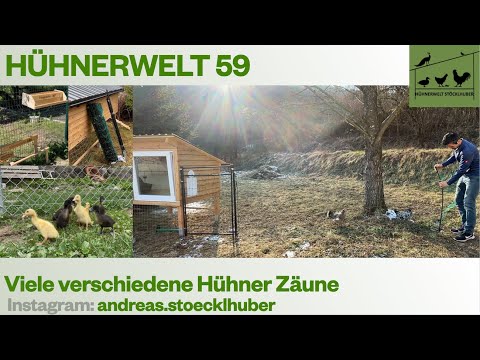 Hühnerwelt 59 Zäune für die Hühnerhaltung - Mobile und fixe Varianten 2023