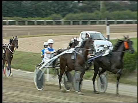 Trotto 09/09/2016 - 1° corsa