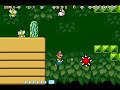 SUPER MARIO ADVANCE 4 SUPER MARIO BROS 3 CUSTOM LEVELS 883 SMAGHETTI