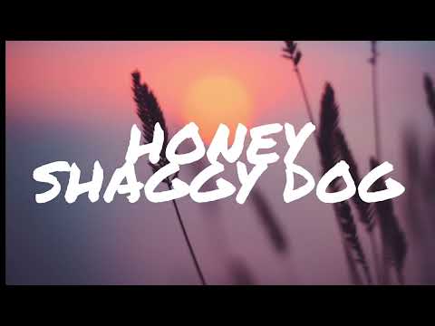 Shaggydog - Honey (Video Lirik)