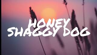 Download lagu Shaggydog - Honey (Video Lirik) mp3