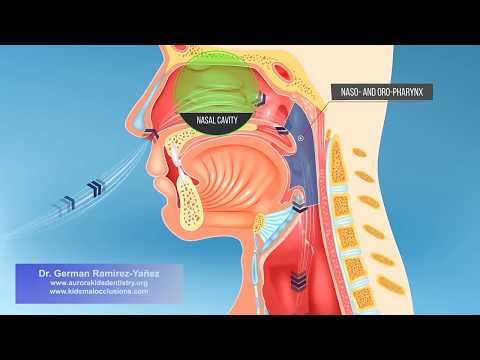 Mouth Breathing in Children from Dr. German Ramirez