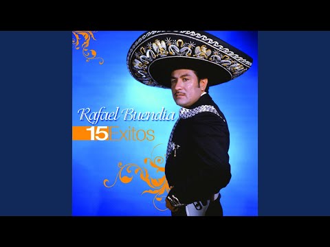 Soy Albañil De Primera