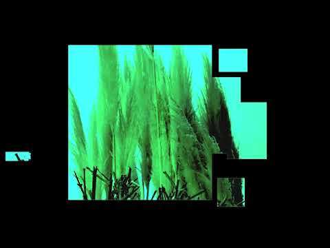 Teiko Yume, Zstimer -  Boreal (Tour De Traum XXIV)
