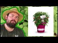 Mein Fazit Zu Lucky Berry Himbeere Flol