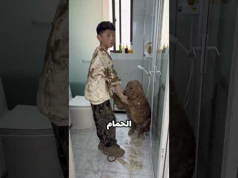 حمَّم كلبه كالملوك! 😲