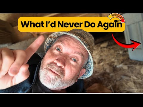 Die 3 größten Fehler beim Umbau eines Gartenhäuschens zum Tiny House (Das würde ich nie wieder tun)