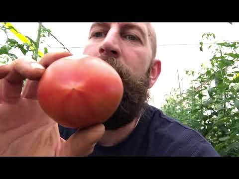 Fogyás monetáris ösztönzők - gyogyszerpont.hu