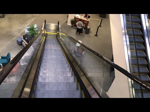Schindler 9300AE Escalators @ American Furniture Warehouse - Longmont CO
