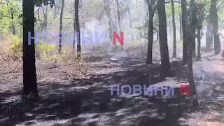 В Николаеве снова горит зеленая зона «Дубки» (фото, видео)