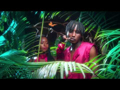 Ifarasi by david d  official video