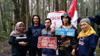 preview picture of video 'Perjalanan ke Gunung Nokilalaki (SULTENG) - Kumis tipis|| Bocah penjelajah #2'