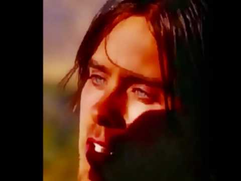 Vitaly Orlov- Lord of War