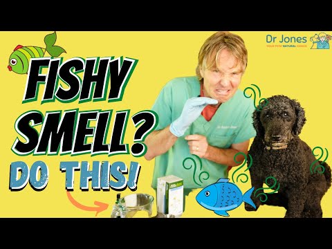 Why Your Dog Smells Like Fish: Natural Remedy