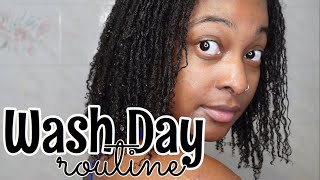 Sisterlocks Wash Day - Updated Routine