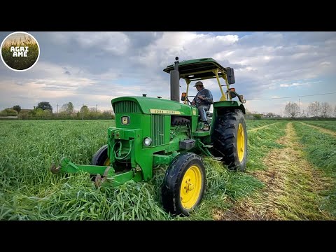 RYE CUTTING 2023 | John Deere 3130 + Vicon | Agricola Motti | Sfalcio segale 2023