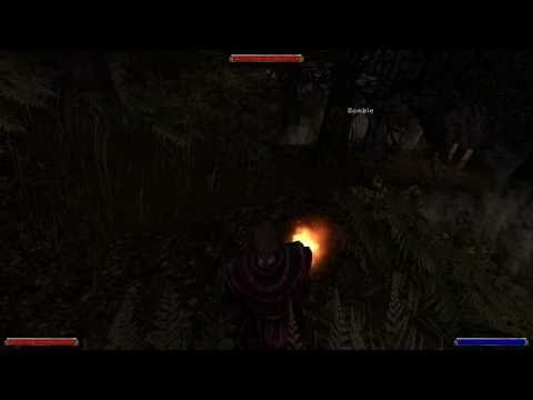 Let's Play Gothic II [German] Part 104: Der dicke Ork