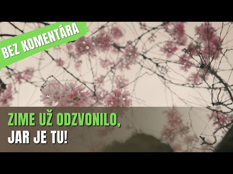 BEZ KOMENTÁRA: Sobrance privítali jar