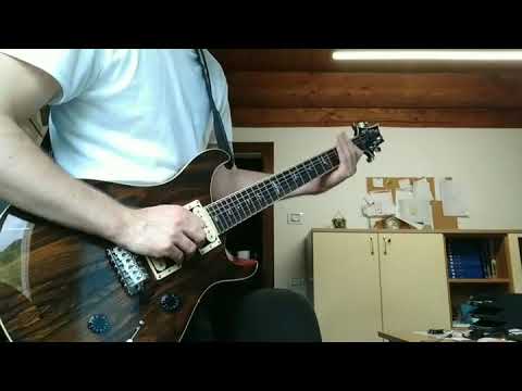 PRS SE Custom 24 Ziricote 2019 - Ziricote image 4