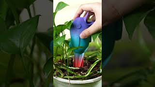 If you love plants but often forget to water them, this