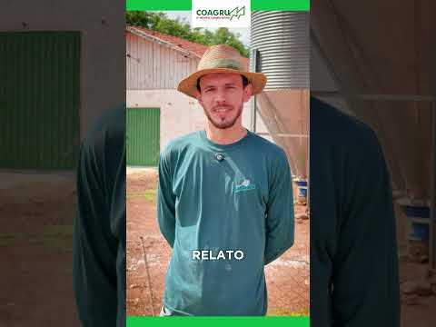 Falta de Energia na Avicultura
