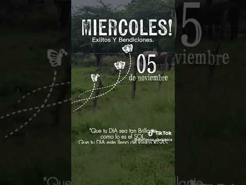 Feliz Miercoles!! #parati #emotivo #fly #viral #elsalvador #chalatenango #nuevaconcepcion