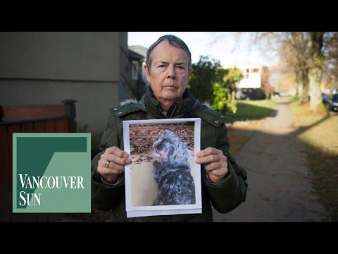 Senior mourns missing dog Bailey Vancouver Sun