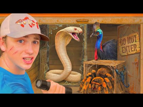 I Found Deadly Animals in an Abandoned Storage Unit…