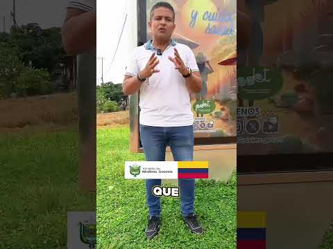 FIESTA DE LA DEMOCRACIA