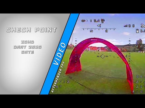 CheckPoint - Zohd Dart 250g