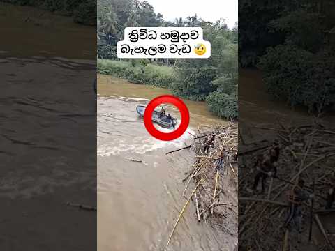 රට රකින දෙවිවරු උඹලා බුදු වෙන්නෝන🙏🏽♥️ #sl #slcrreations #viral #rain #trending #news #army #gossip