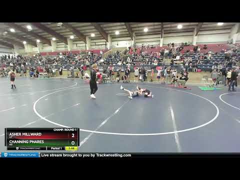87 Lbs Champ. Round 1 - Asher Millward, UT Vs Channing Phares, MT 0444