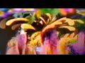 Parachute Express Doctor Looney Remedy Nightcore