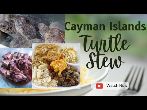 Cayman's National Dish Turtle Stew #plantains #turtlemeat #turtlestew #stewturtle #breadfruit
