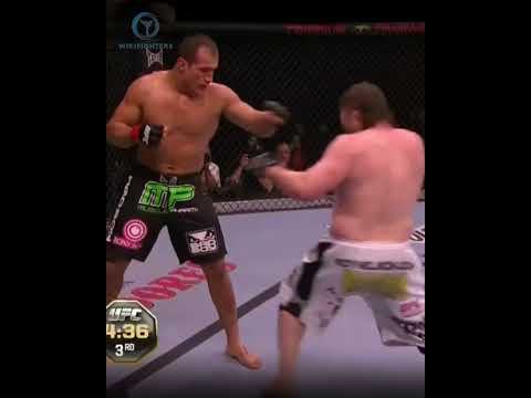 Junior Dos Santos vs  Roy Nelson fight | UFC KNOCKOUTS #mma #ufc #shorts