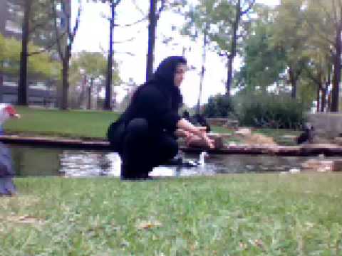 Protection Song "Cecilia" prayer to protect our protectors i do not own the copyright