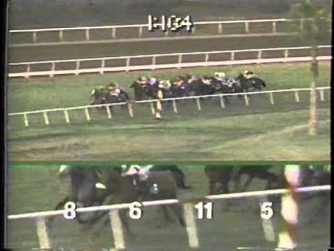 1991 Matriarch S. -- Flawlessly