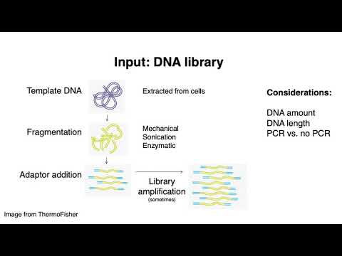 MCB 182 Lecture 2.1 - DNA sequencing overview