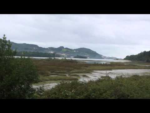 Suelta águila pescadora "Mandela" en Urdaibai