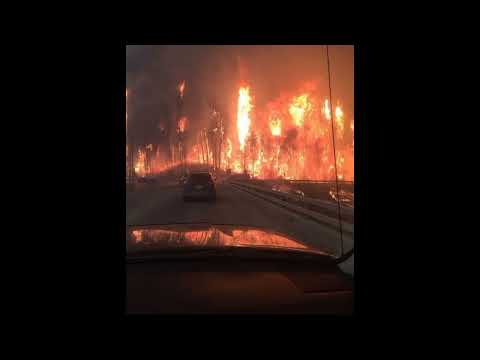 (FREE) DISTORTED TRAP METAL KILL EBOLA X HXNJV X WARFILL X CHXEU TYPE BEAT "DISASTER" (PROD.RXVENN)