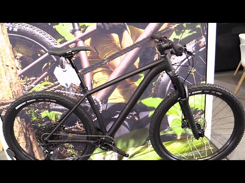 Vaast Model M-1 Magnesium Bike Walkaround Tour - 2020 Model