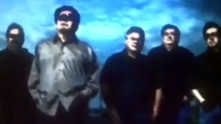 Los Lobos ~ Saint Behind the Glass (subtitulada)