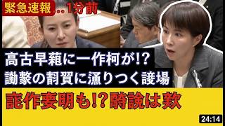 速報！「日本人が嫌いですか？」参政党・安達吉川議員が高市政権の杜撰な移民政策を徹底追及で日本中騒然！ #移民問題 #政治ニュース #高市早苗