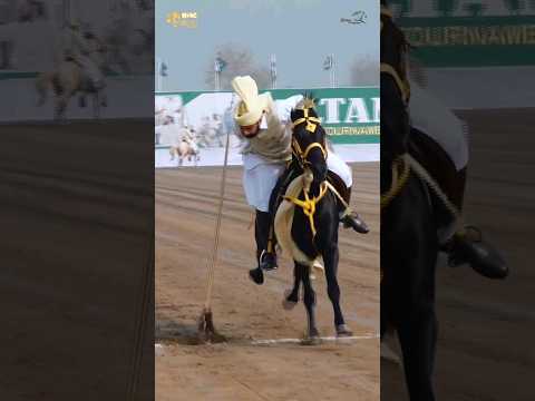 شہنشاہ نیزہ بازی Sahibzada Sultan Bahadar Aziz Rider Nezabazi Tentpegging #Rider #fun #sports #race