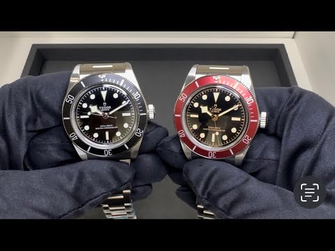 Monochrome or Burgundy Tudor Black Bay 41?