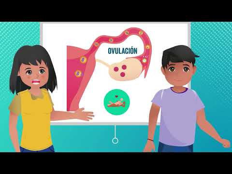 MENSTRUACIÓN, CICLO MENSTRUAL E HIGIENE - MICROPROGRAMAS ESI