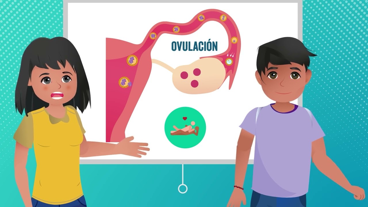 MENSTRUACIÓN, CICLO MENSTRUAL E HIGIENE - MICROPROGRAMAS ESI